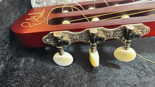 Godin ACS-SA Guitarra Nylon Alta Gama