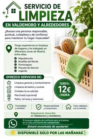 Servicio de limpieza