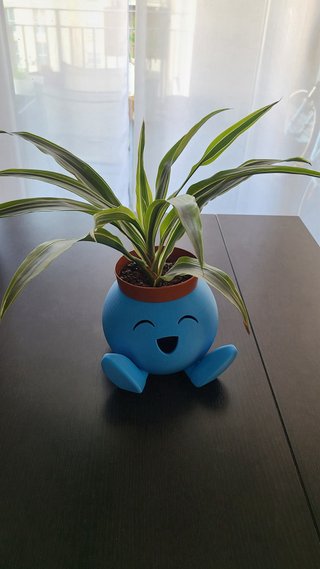 Maceta Oddish Pokémon