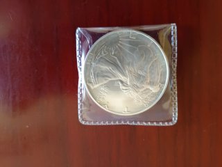 Moneda Plata Onza 1995 Liberty