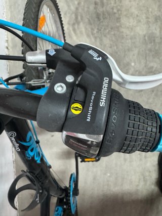 Bicicleta infantil B-WIN de 24’