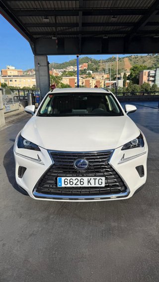 Lexus NX 300h 2019