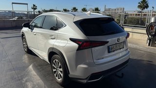 Lexus NX 300h 2019