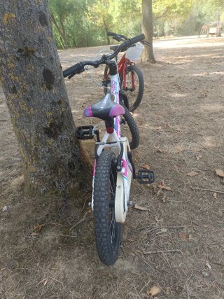 Bicicleta infantil 16 niño/a