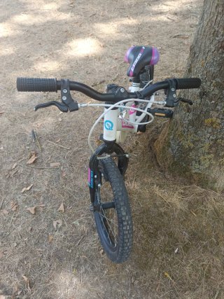 Bicicleta infantil 16 niño/a