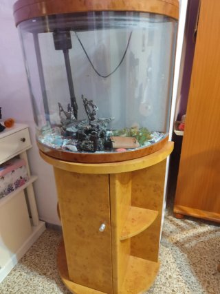 2 Peceras: Grande con mueble y pequeña