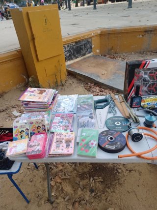 puesto rastro jerez domingo