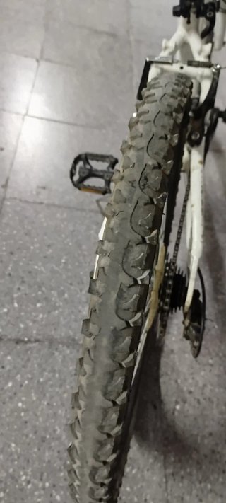 Bicicleta infantil WST 24 niño