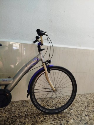 Bicicleta Paseo Holandesa Alpine Adulto