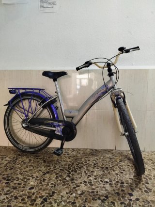 Bicicleta Paseo Holandesa Alpine Adulto