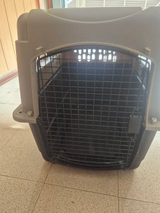 Transportín Perro Grande Petmate L Verde