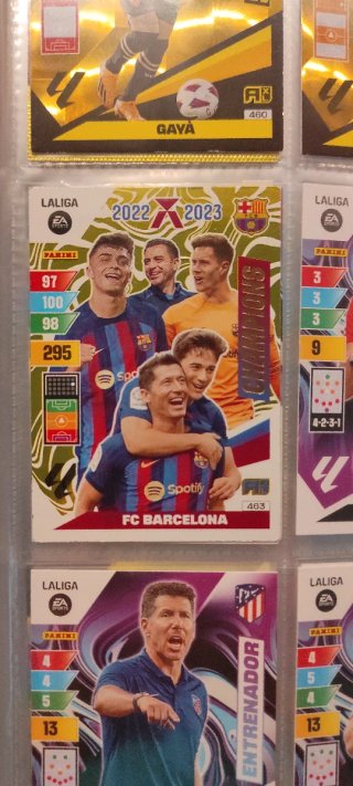 Álbum Adrenalyn 2023-24 con 480 cartas