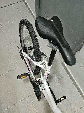 Bicicleta Hard tail 24 pulgadas blanco y rosa