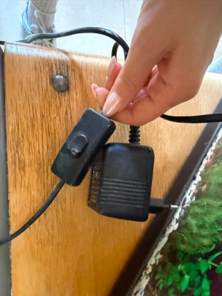 Pecera con plantas y accesorios