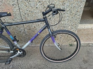 Bicicleta Montaña Vintage