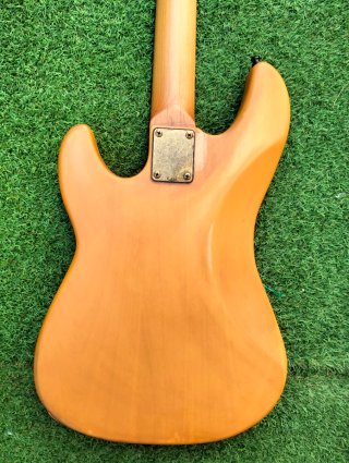 Bajo Eléctrico Marcus Miller D5 Personalizado