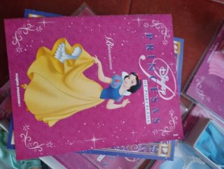 Collezione di 13 Bambole Principesse Disney in Porcellana