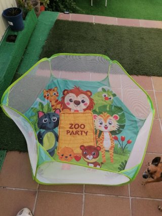 Parque infantil Zoo Party