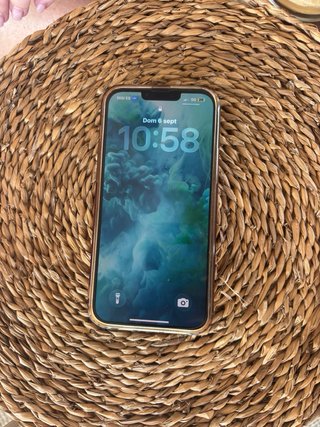 iPhone 13 Pro Max Oro