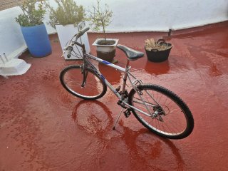 Bicicleta BH Supra Rueda 26