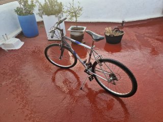 Bicicleta BH Supra Rueda 26