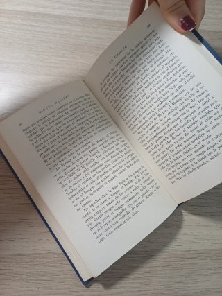 Libro el camino de Miguel Delives