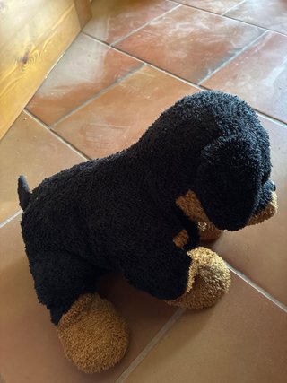 Lote Peluches Perro Rottweiler