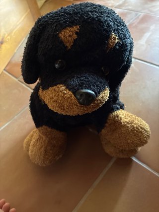 Lote Peluches Perro Rottweiler