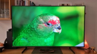 Samsung QLED 50 4K TQ50Q60DAUXXC (2024)