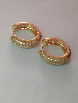E544 Orecchini cerchio pavé inox oro 2 cm brillant