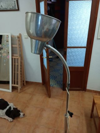 Lámpara flexo de pie metálica