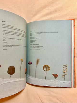 Libro Anatomía de las emociones - Nuevo