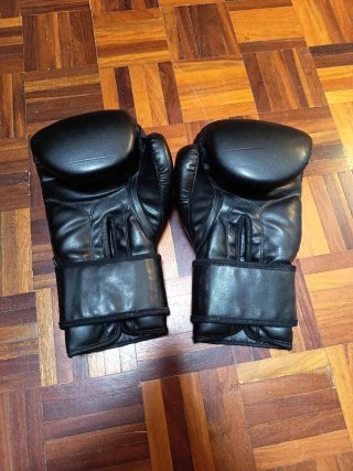 Guantes Boxeo PSD 14oz