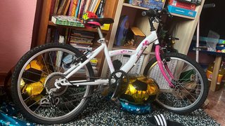 Bicicleta