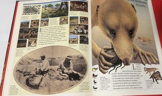 HISTORIA DE LA HUMANIDAD NUM 7 ASIA AFRICA Y AM...