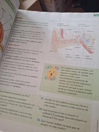 Ciencias da natureza, 4 Educación Primaria