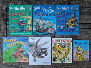 Lote de libros en inglés para niños