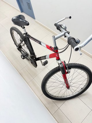 Bicicleta de Montaña California Terra-X 800 26