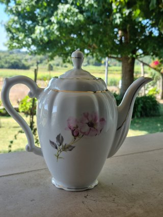 Juego Café Porcelana Fina Vintage Vista Alegre