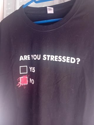 Camiseta Pampling Are You Stressed?