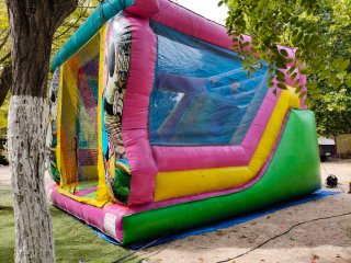 Castillo hinchable Disney con techo 6x4x4