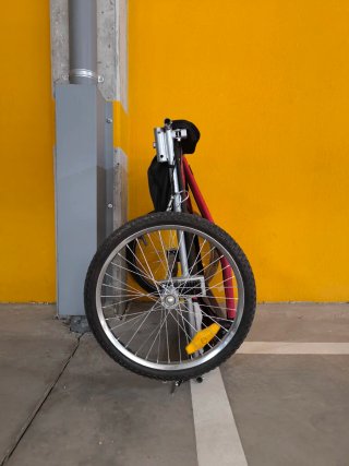 Carro doble para bici/paseo