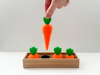 Huerto Montessori de zanahorias - Juguete