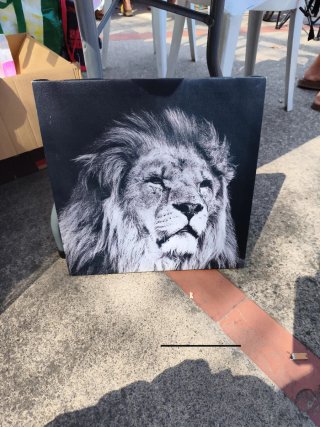 Cuadro de león en blanco y negro