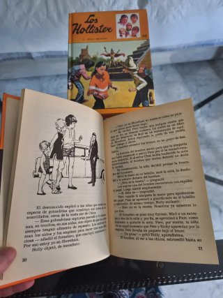 Lote libros Los Hollister