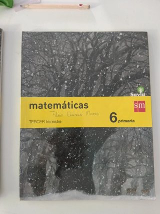 Matemáticas, 6 Primaria Savia