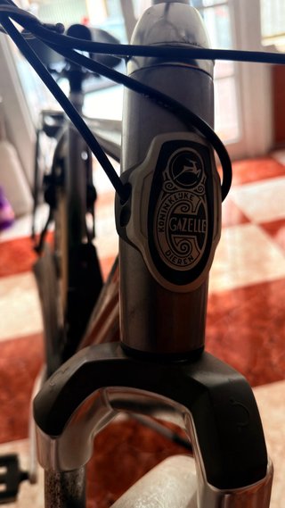 Bicicleta Holandesa Gazelle Shimano Nexus