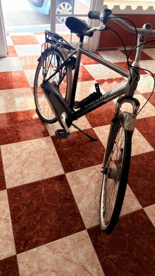 Bicicleta Holandesa Gazelle Shimano Nexus