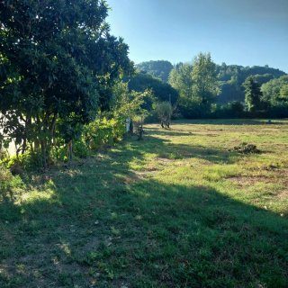 Terreno agricolo