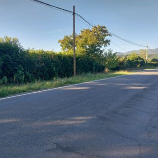 Terreno agricolo